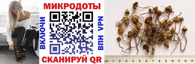 продажа наркотиков  Южно-Сухокумск  сайты даркнета какой сайт  Галлюциногенные грибы прущие грибы 